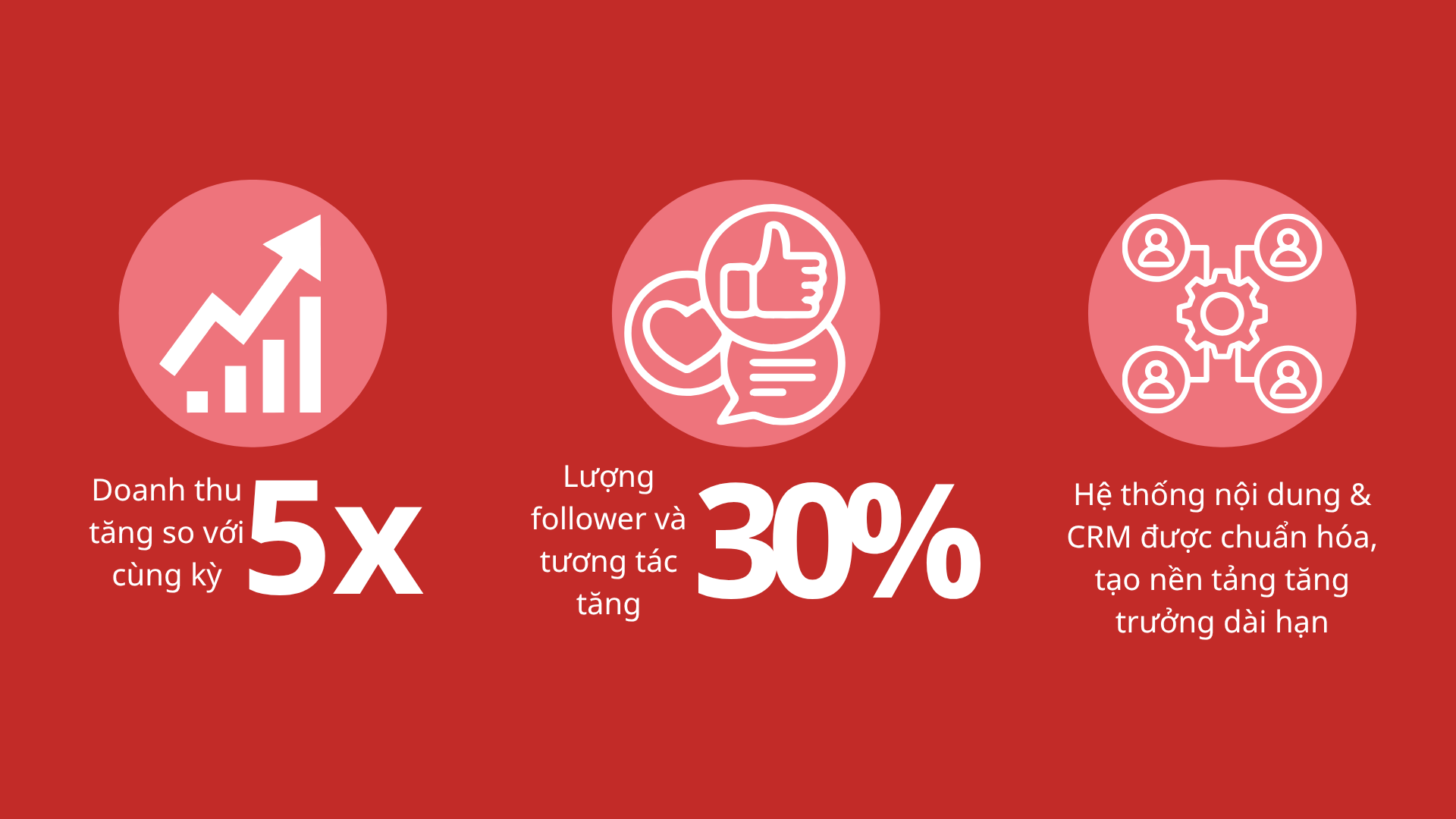 dự án kinh dịch 5